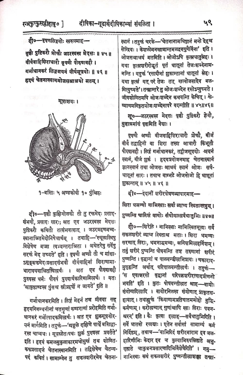 Sharangadhar Samhita ( KAS 14)